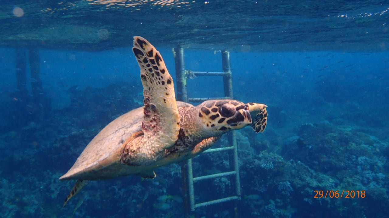 Strand Casa Mare Resort