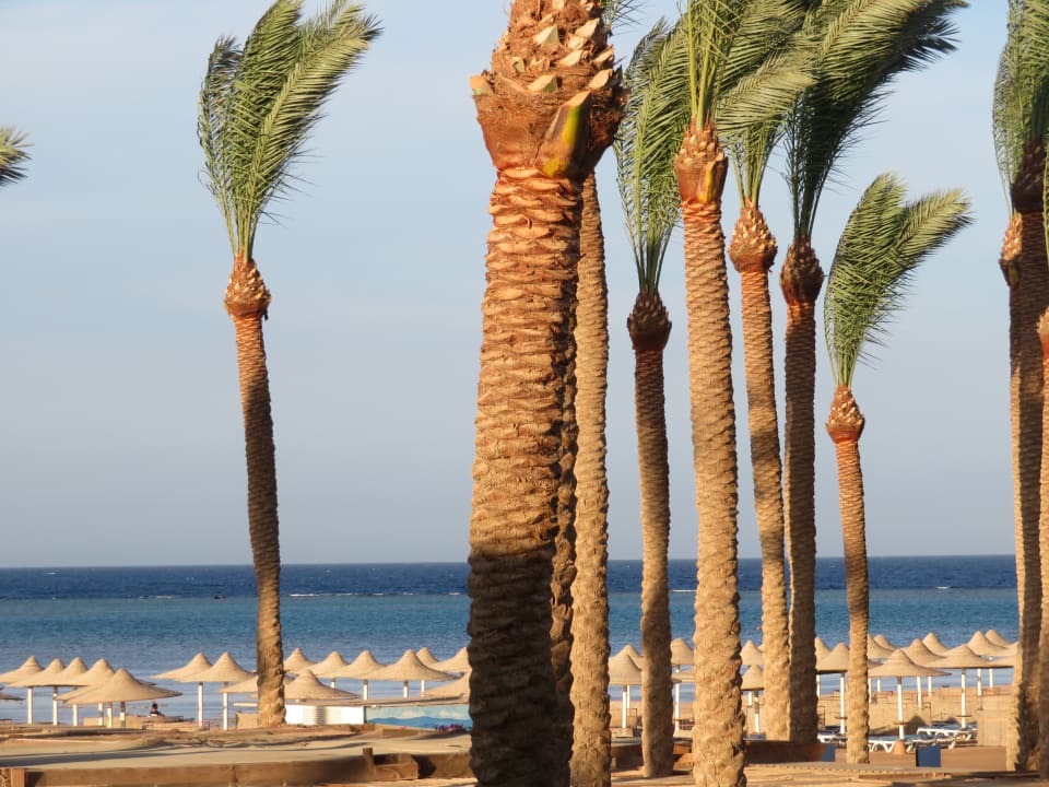 Ausblick Stella Beach Resort & Spa Makadi Bay