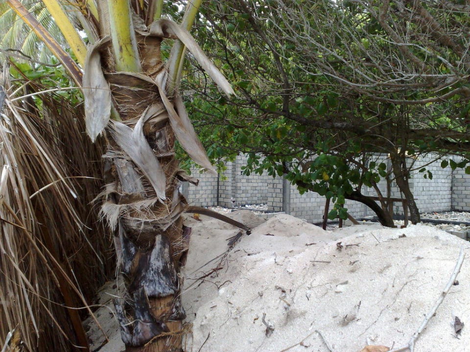 Bauzaun und Strand Summer Island Maldives