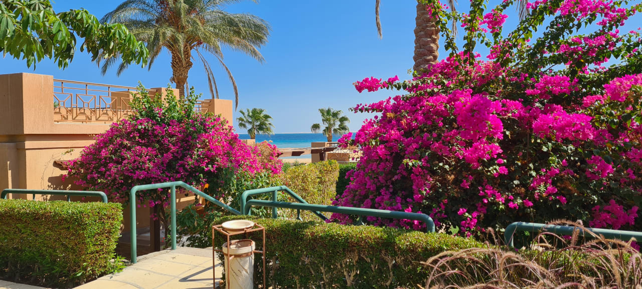 Ausblick Shams Prestige Abu Soma-Adults Only