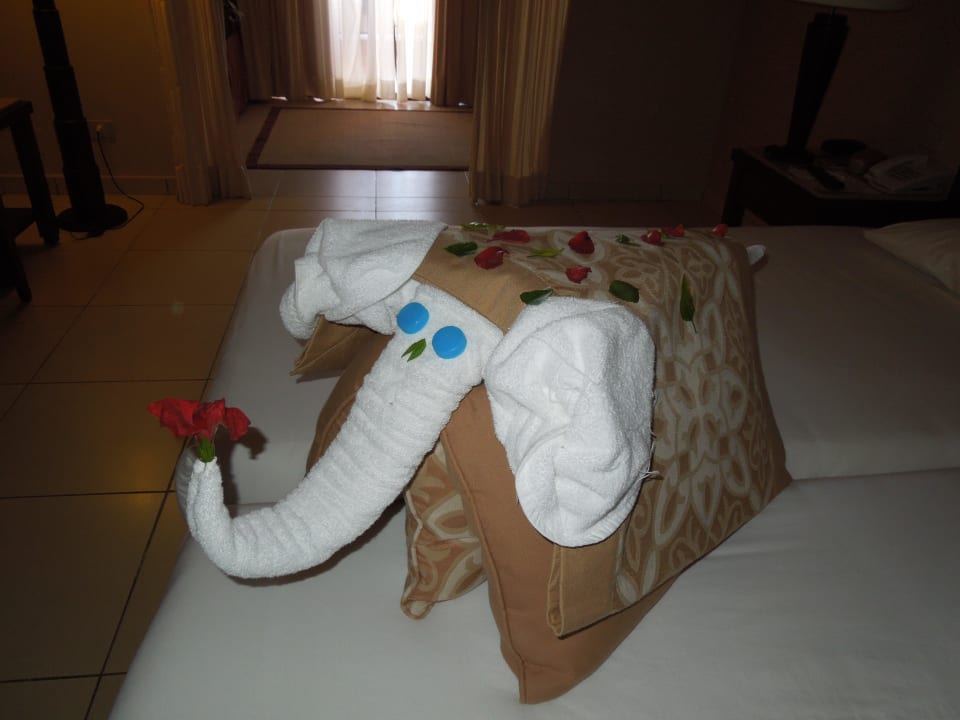 Jeden Tag was neues! Absolut nett! Jaz Dar EL Madina