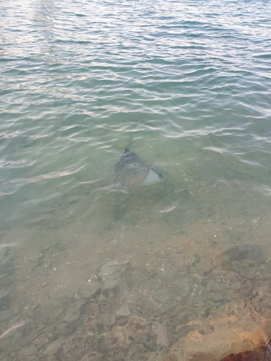 Strand Arabia Azur Resort