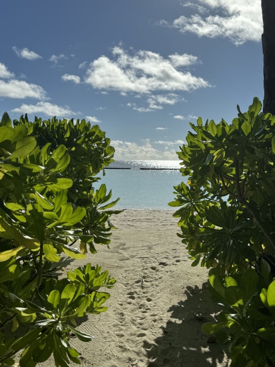 Strand Constance Halaveli Maldives