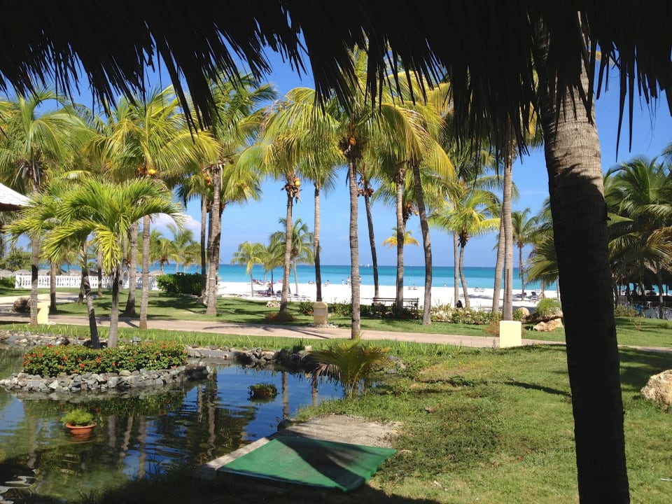 Strand mit Palmen Paradisus Varadero Resort & Spa