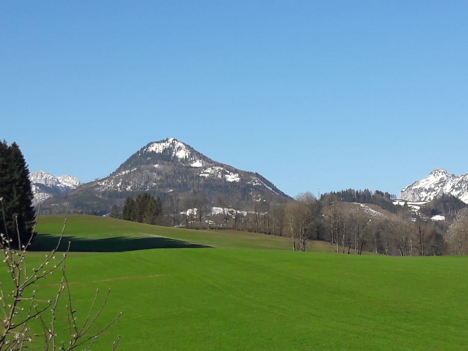 Ausblick Bio-Bauernhof Oberhochstätt