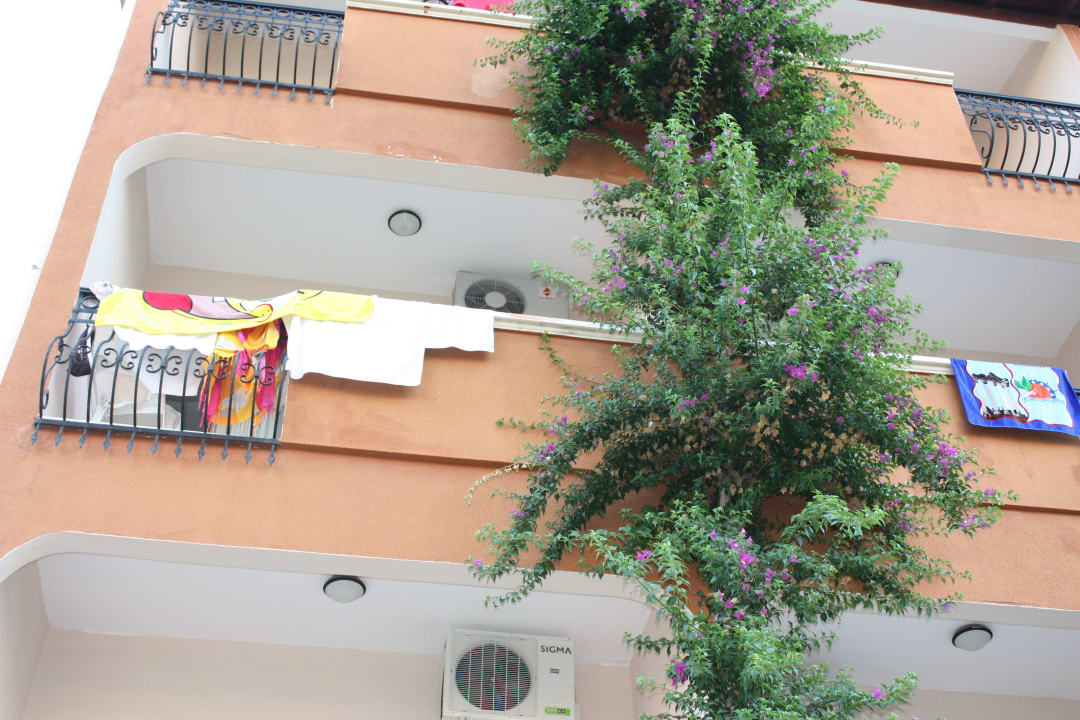 Турташ Club Turtas Beach Hotel