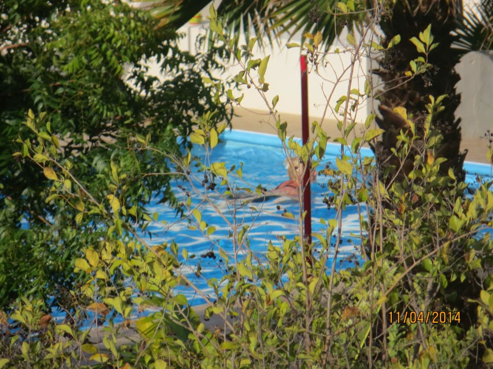 Zoom auf den Pool von "Parzifal" Don Genaro Apartments