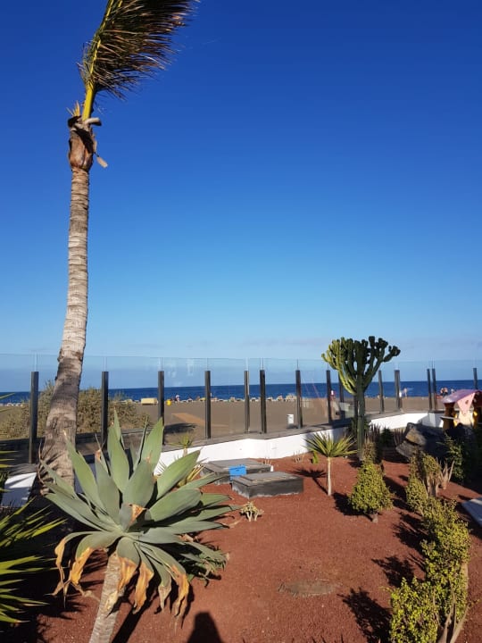 Gartenanlage Hotel Las Costas