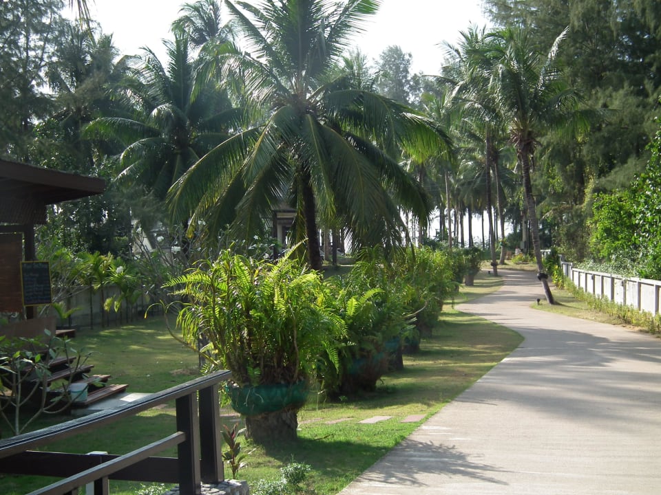 Auch mit dem Radl zu fahren Khaolak Blue Lagoon Resort
