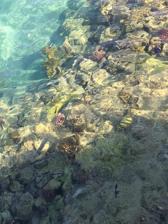 Strand Titanic Beach Spa & Aqua Park