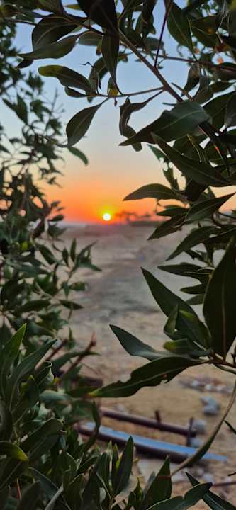 Gartenanlage Three Corners Sea Beach Resort