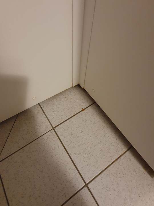 Zimmer Ferienhaus Hohendorf