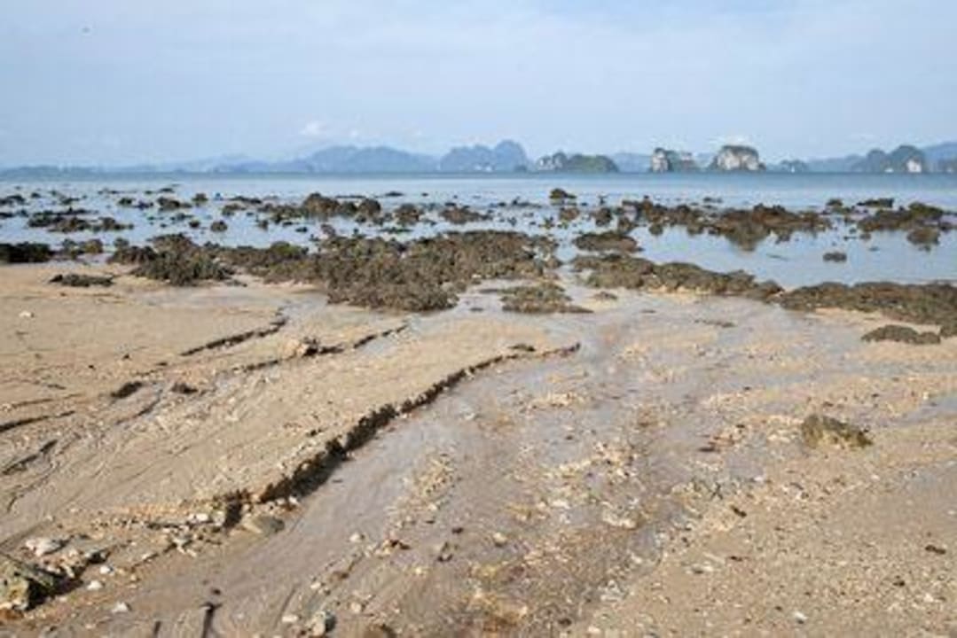 Strand bei Ebbe Hotel Koyao Island Resort