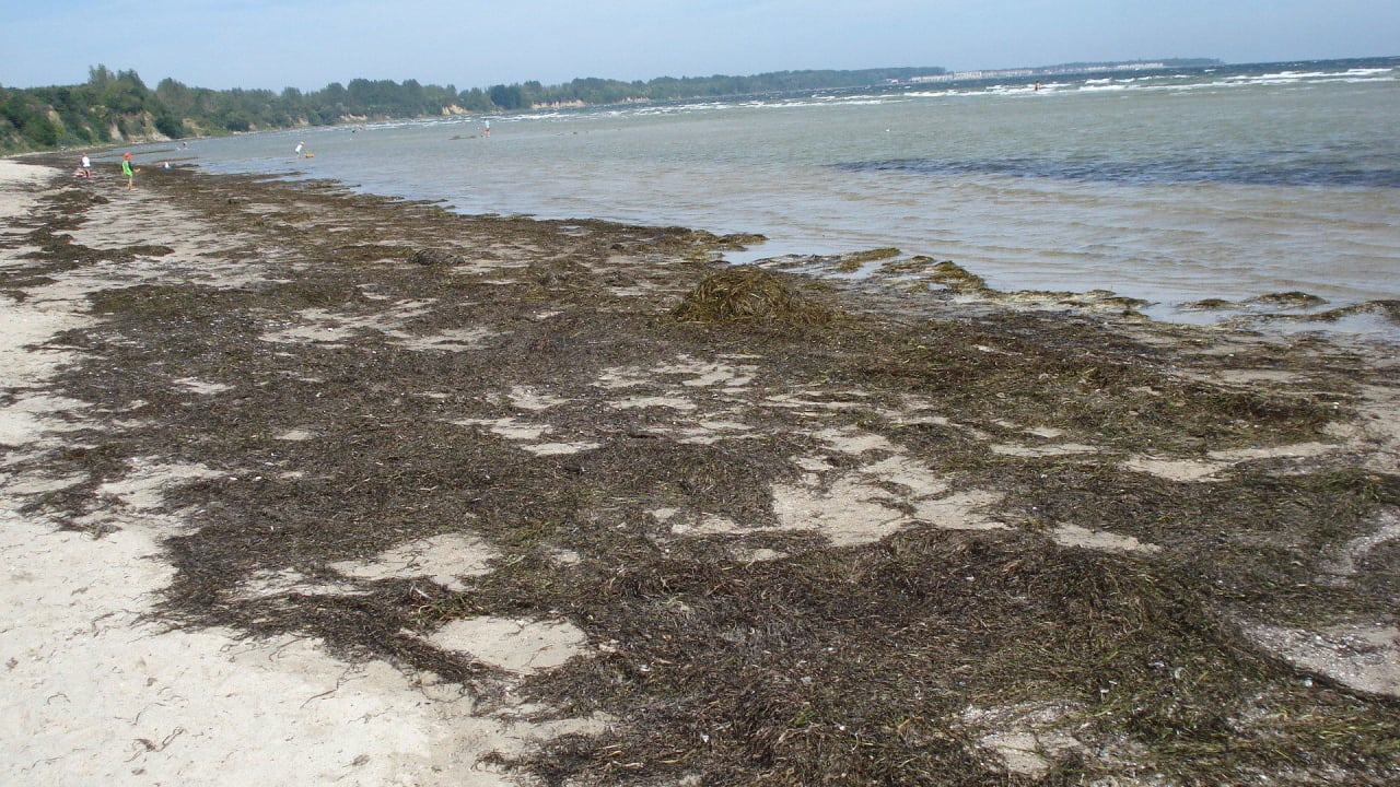 Strand v. Gemeinde Wohlenberg Alcor Hotel Feriendorf an der Ostsee