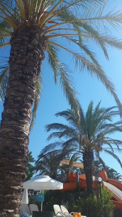 Gartenanlage Royal Wings Hotel