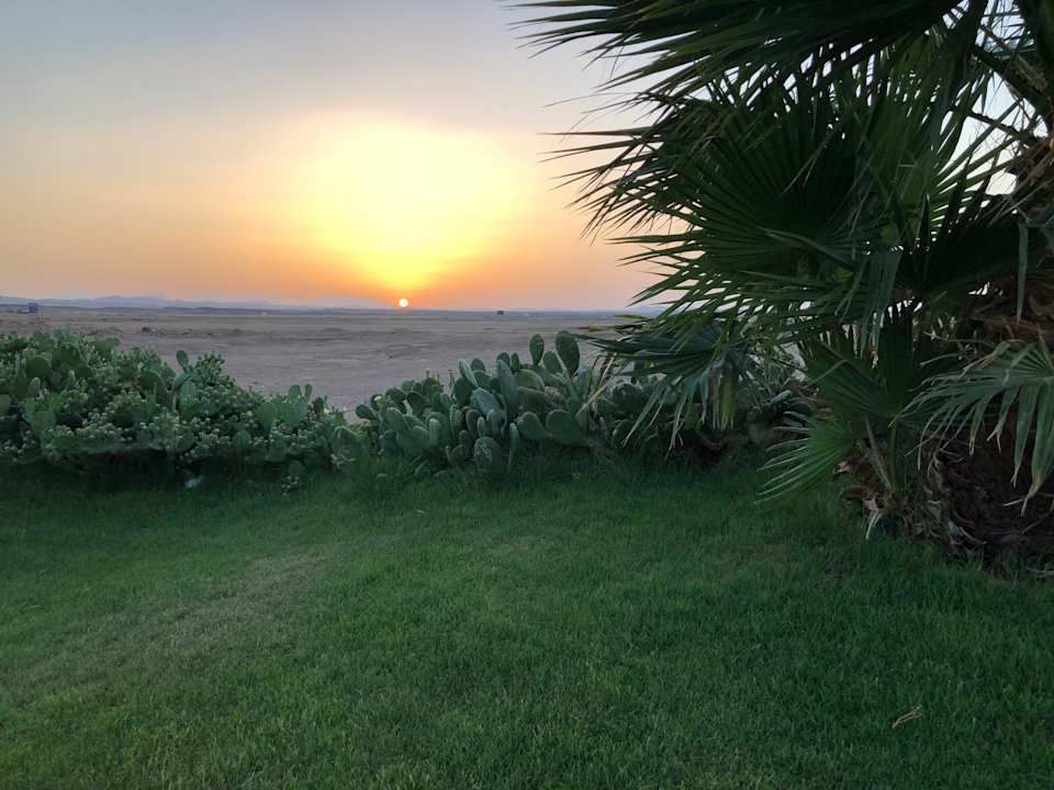 Gartenanlage Three Corners Sea Beach Resort