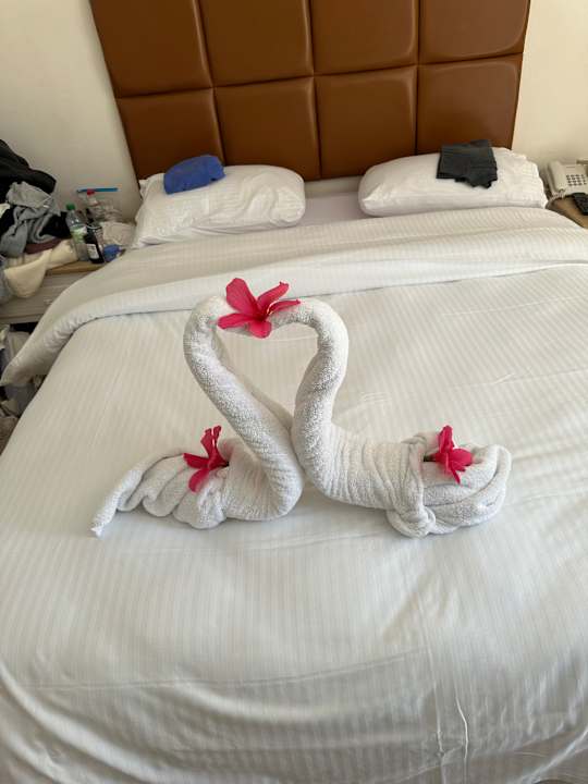 Zimmer Giftun Azur Resort