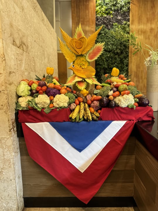 Gastro Vista Sol Punta Cana