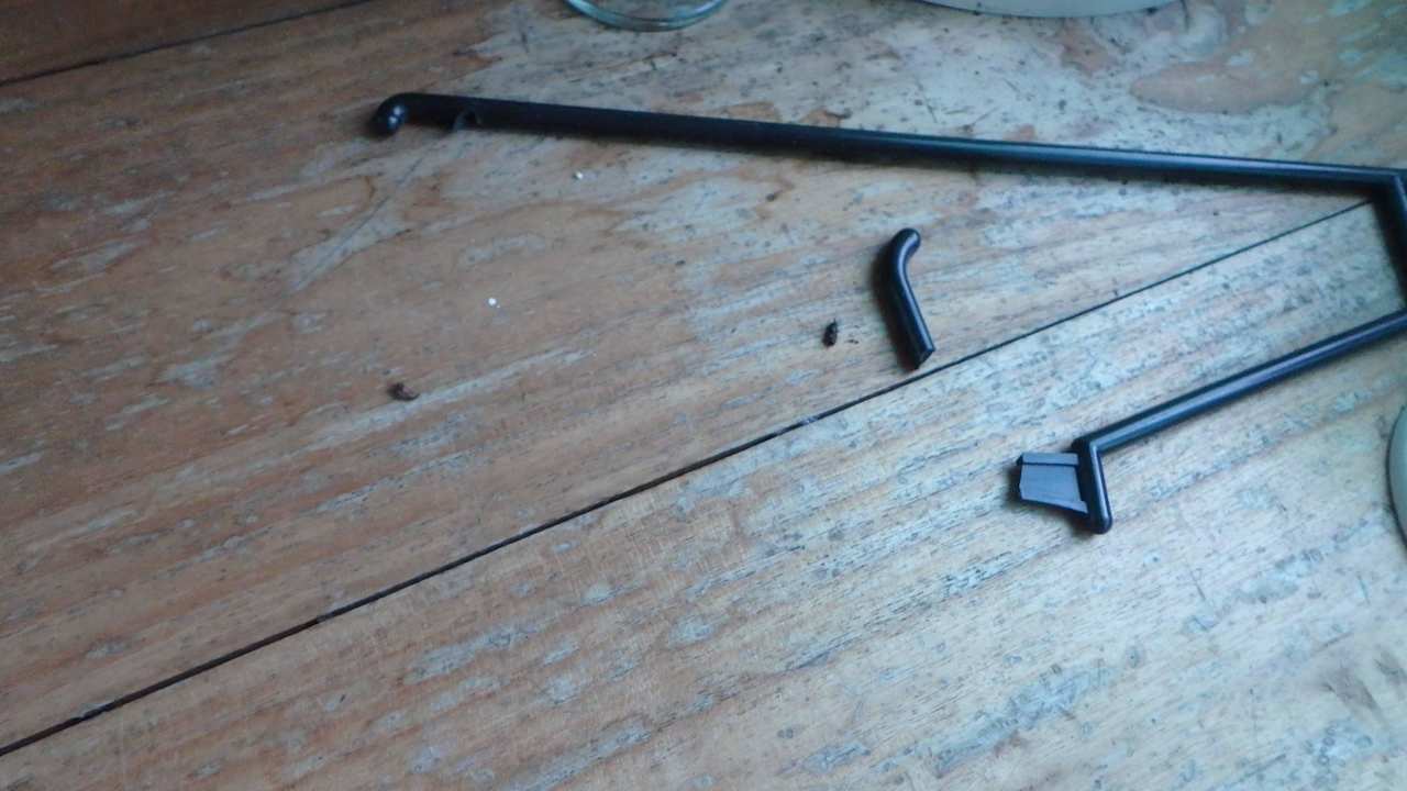 Geko Ausscheidungen Hotel Bunaken SeaGarden Resort