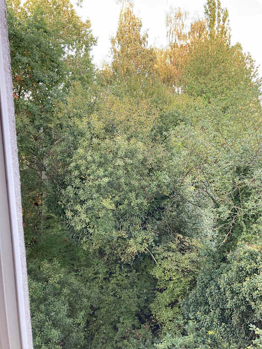 Außenansicht Best Western Plaza Hotel Zwickau