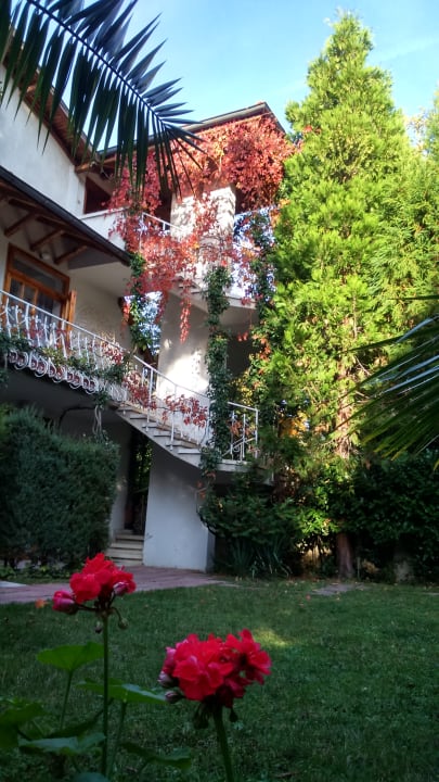 Außenansicht Park Hotel Amfora