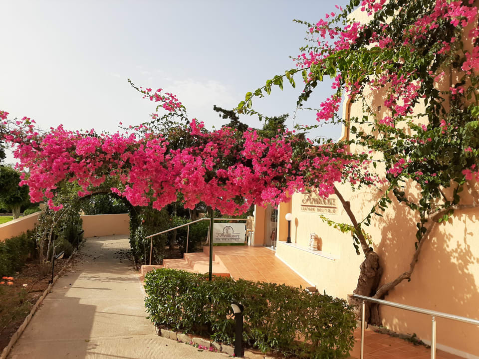 Gartenanlage Anissa Beach & Village