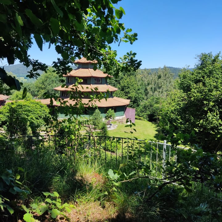 Gartenanlage Spirit & SPA Hotel Birkenhof am Elfenhain