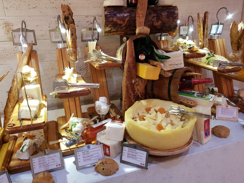 Gastro Acanthus Cennet Barut Collection