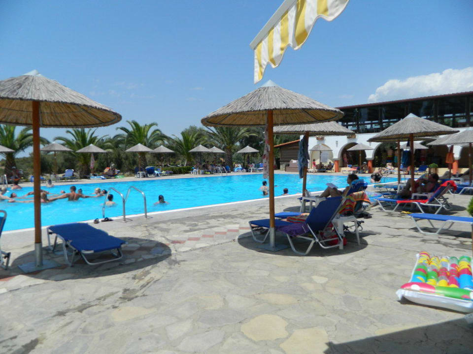 Pool Blue Dolphin Resort Hotel