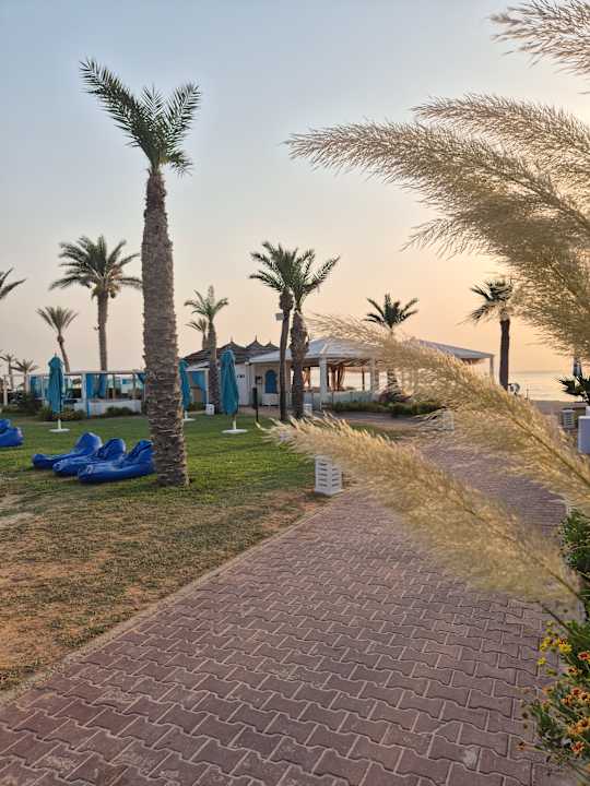Gartenanlage ROBINSON DJERBA BAHIYA