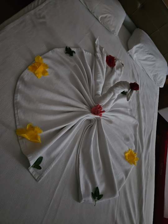 Zimmer Hane Family Resort