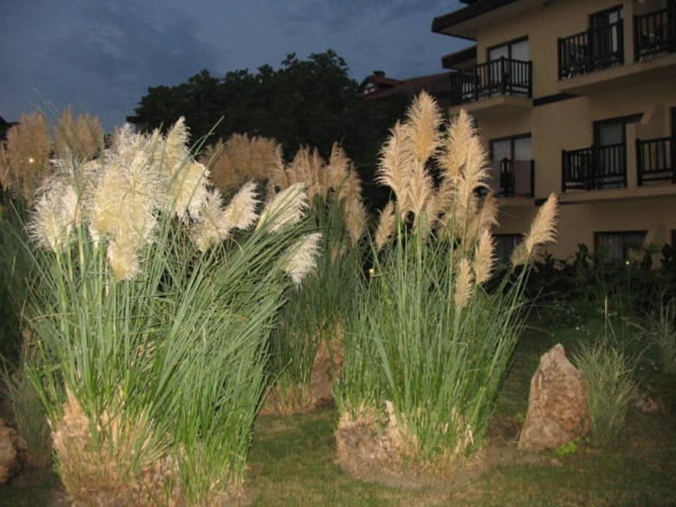 Ogród Alba Resort Hotel