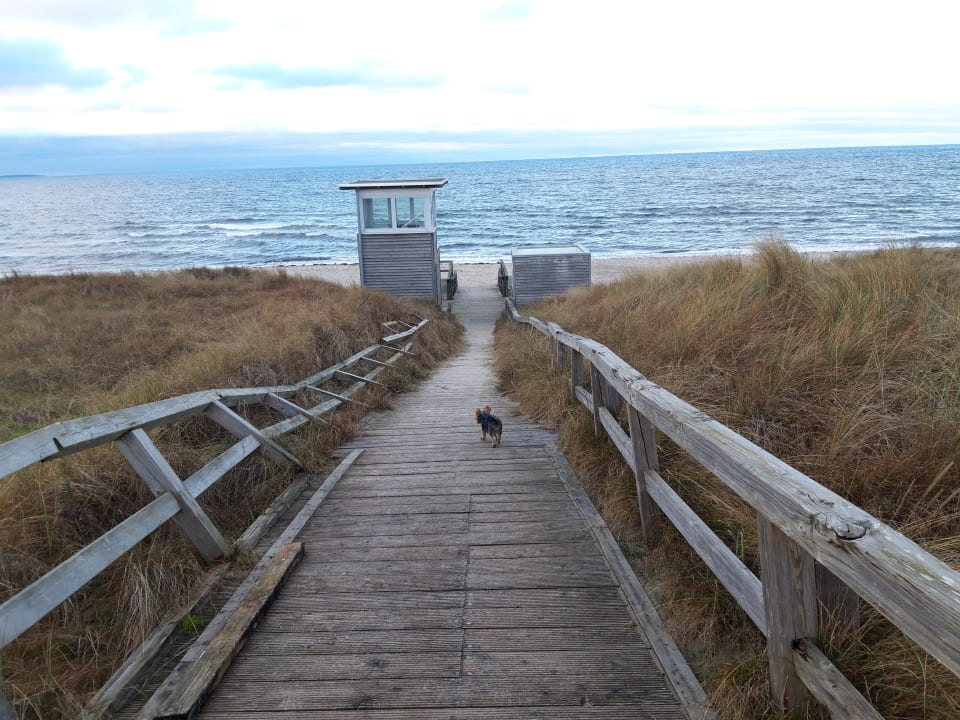 Strand Ferienwohnungen Ferienpark Weissenhäuser Strand