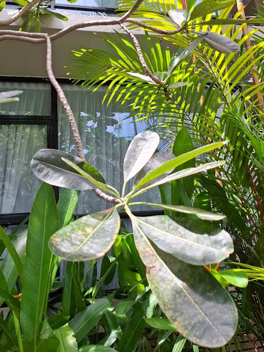 Gartenanlage At Mind Serviced Residence