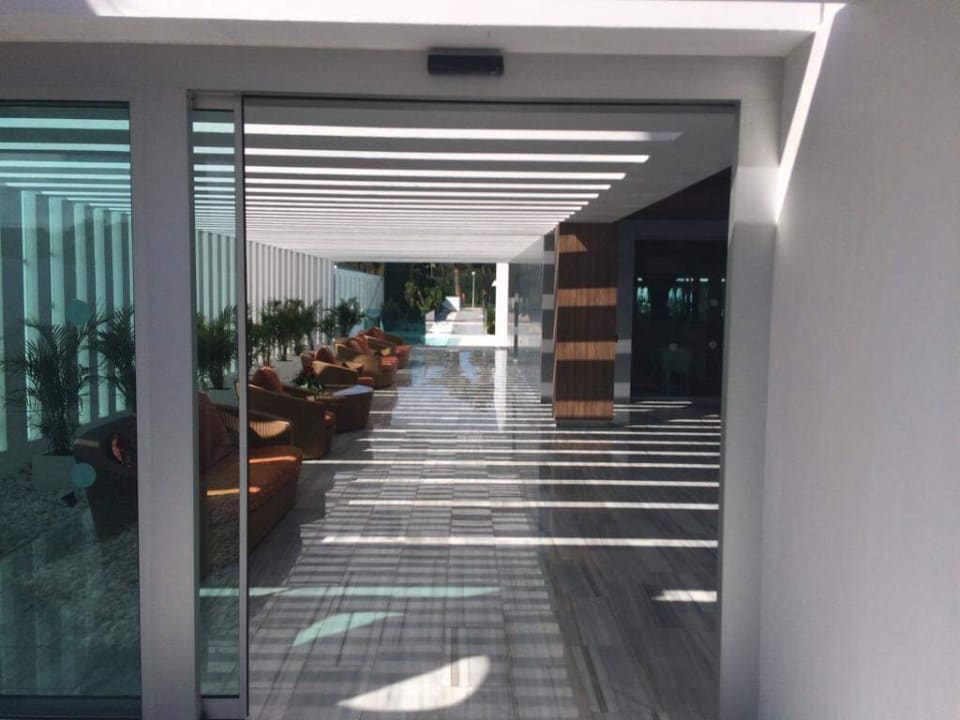 Lobby Canary Garden Club