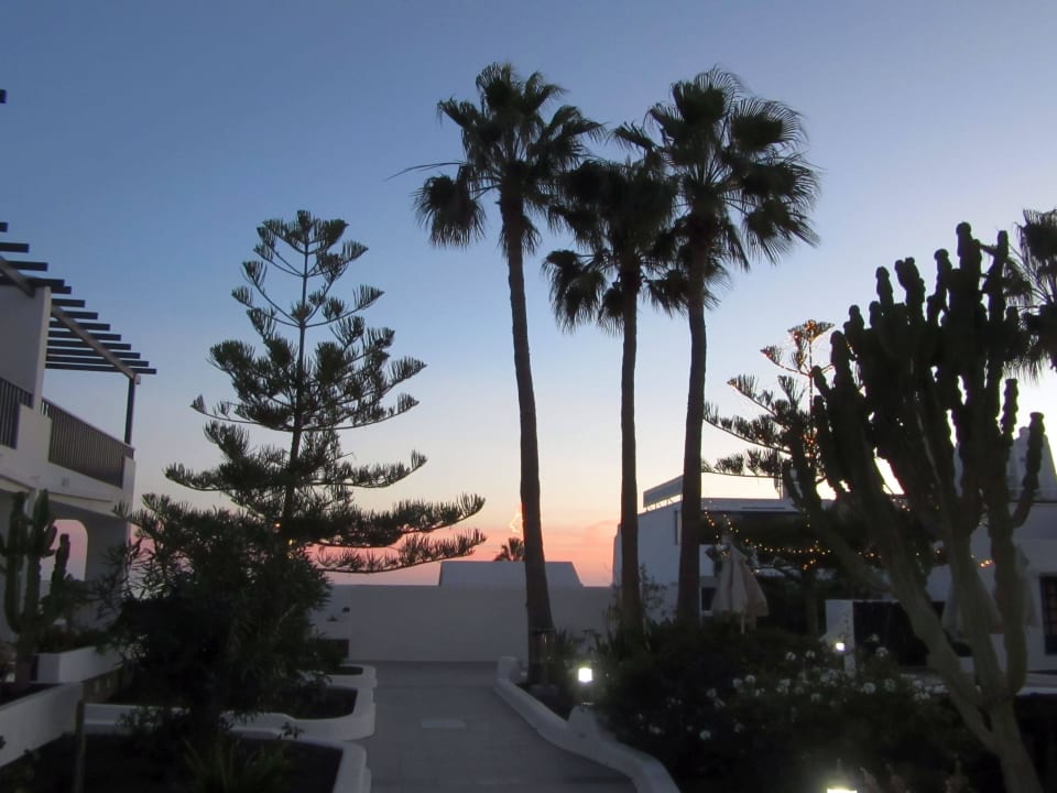 Palmenblick Bungalows & Appartements Playamar