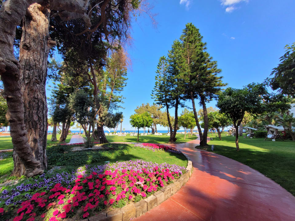 Gartenanlage TUI MAGIC LIFE Beldibi +16