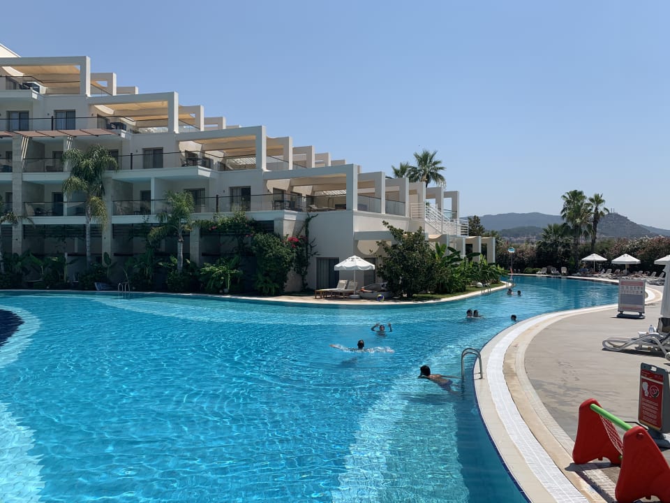 Pool Paloma Pasha
