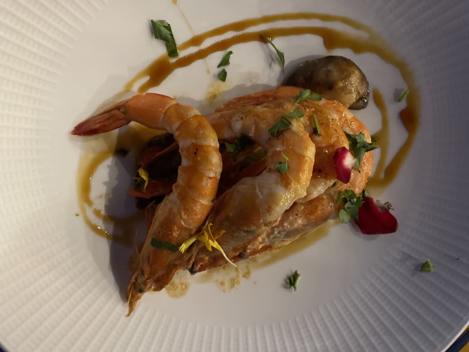 Gastro Occidental Jandía Royal Level - Adults only