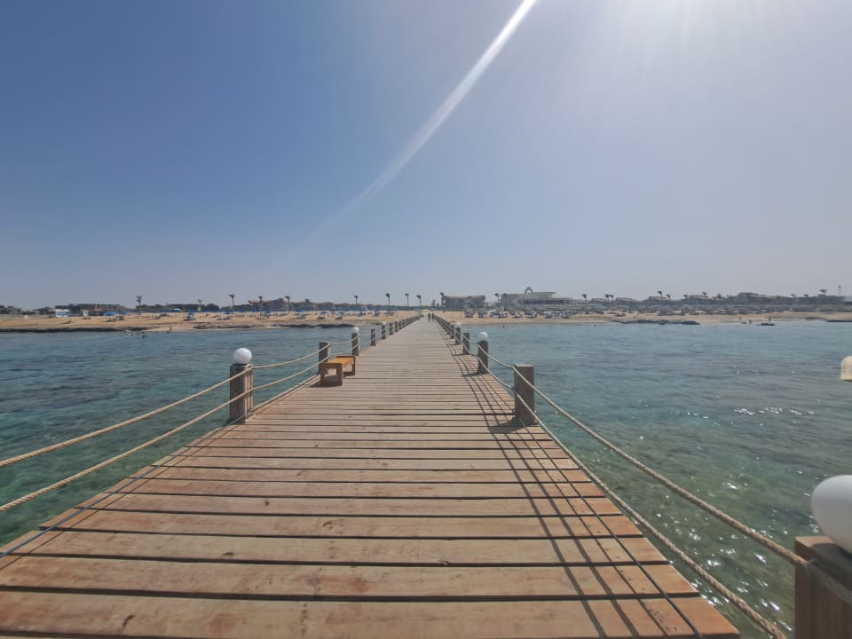 Strand Pickalbatros Sea World Resort - Marsa Alam