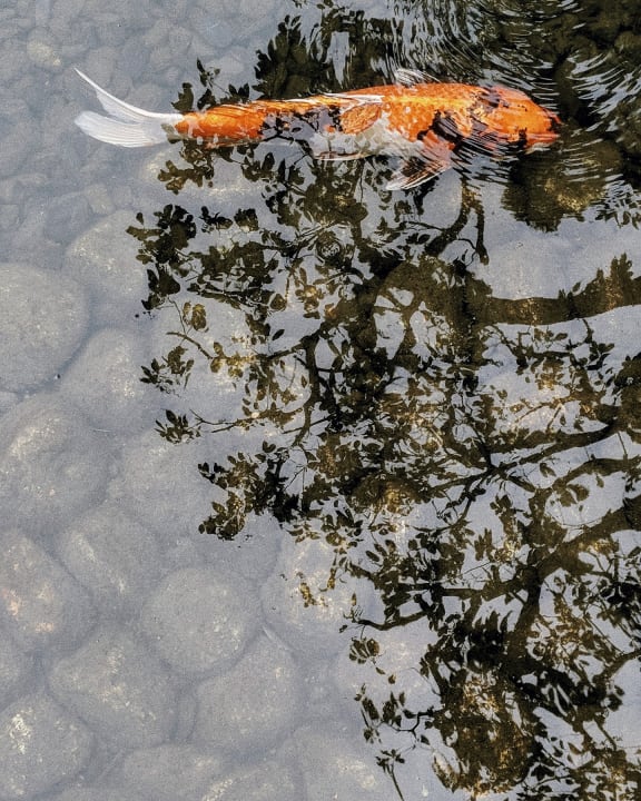 Gartenanlage Four Seasons Hotel Kyoto