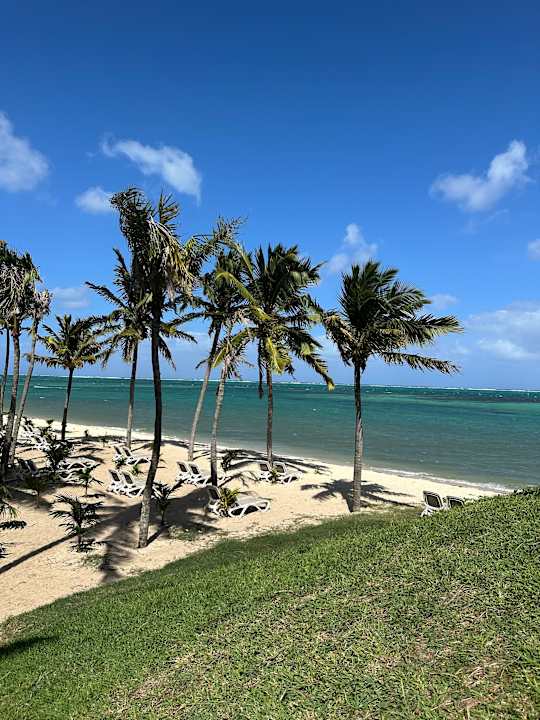 Strand Hotel Riu Turquoise