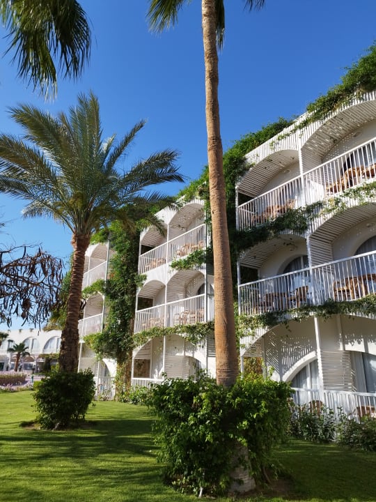 Außenansicht Desert Rose