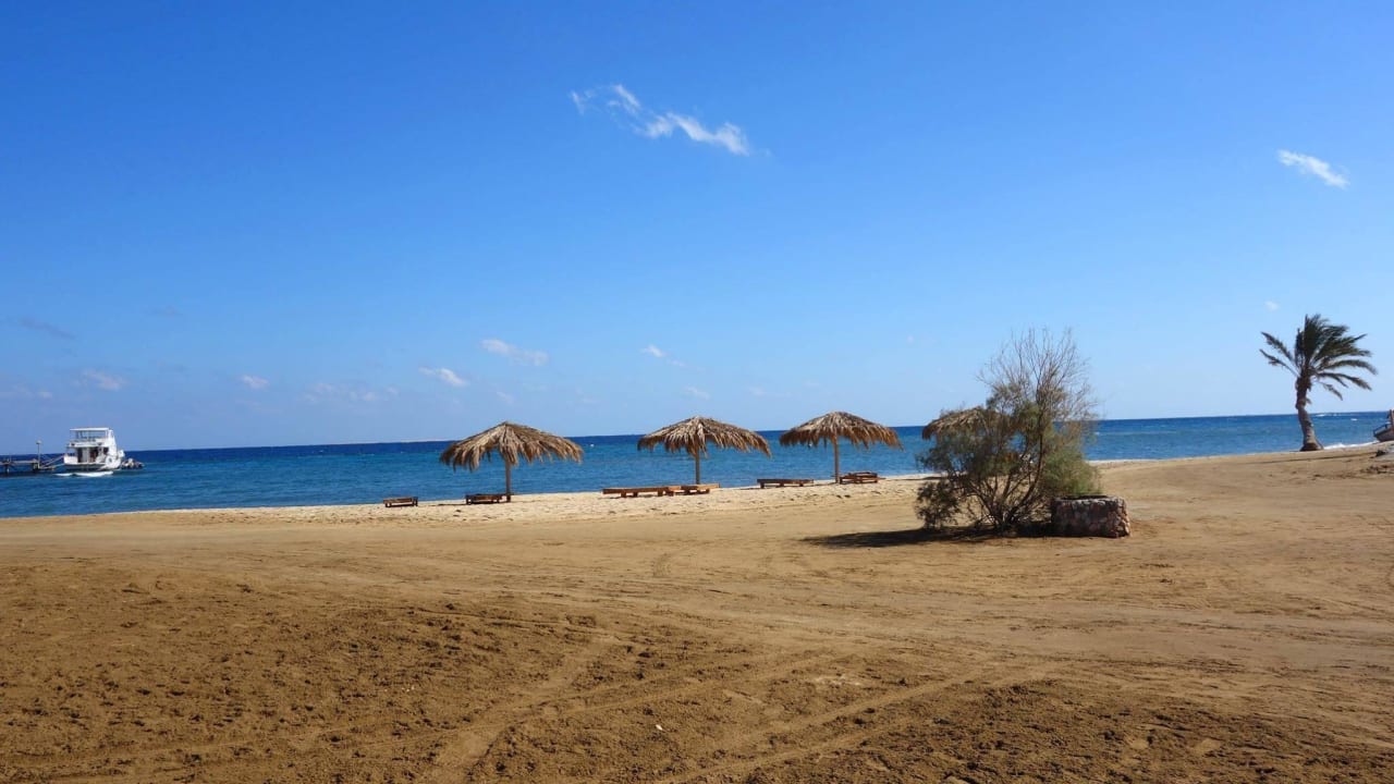 Stand Shams Alam Beach Resort