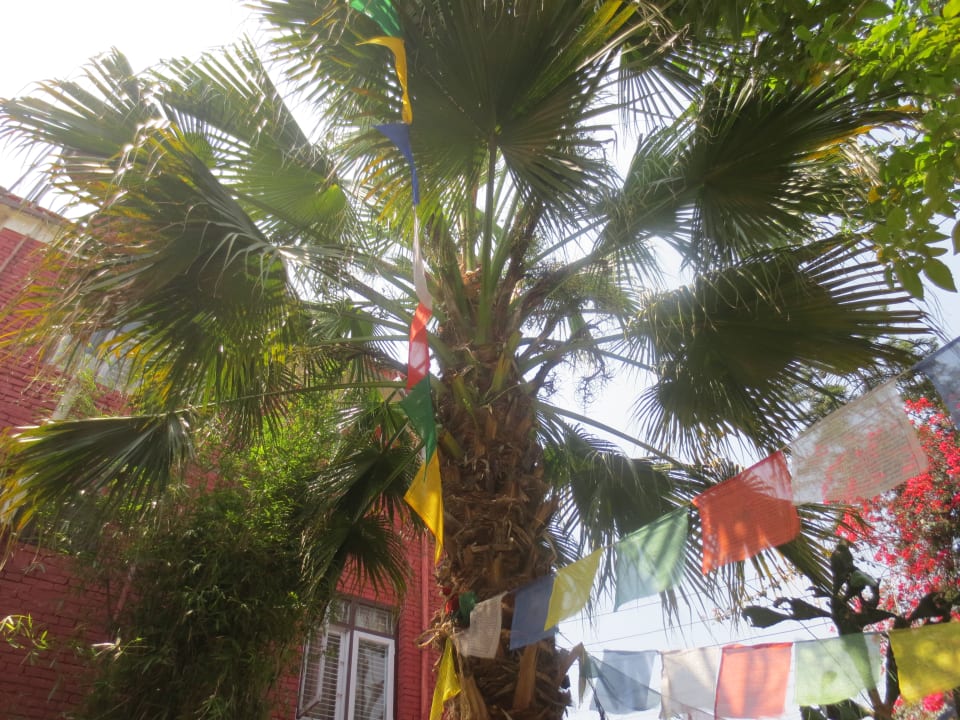 Gartenanlage Trekkers Holiday Inn Guesthouse