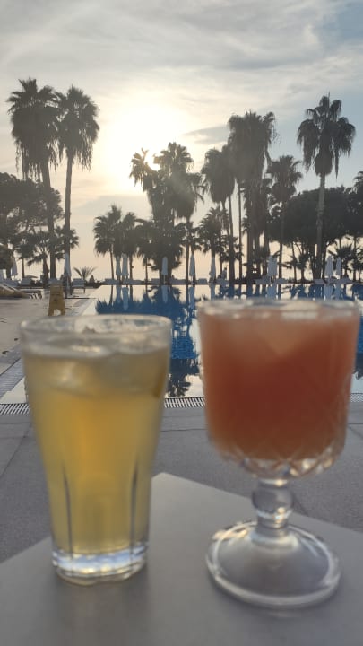 Gastro Acanthus Cennet Barut Collection