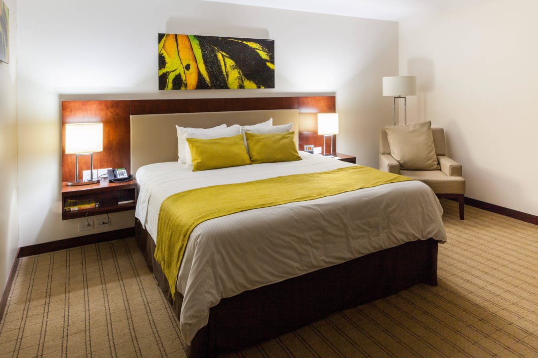 Standard Room Single  Bed Wyndham Garden Hotel San Jose Escazu