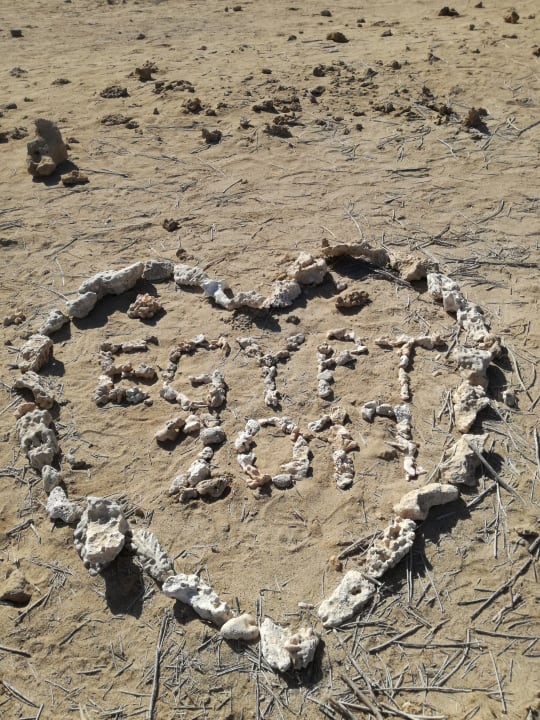 Strand Malikia Resort Abu Dabbab