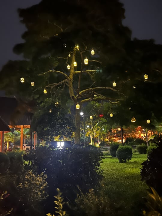 Gartenanlage TUI Blue Bahari Zanzibar