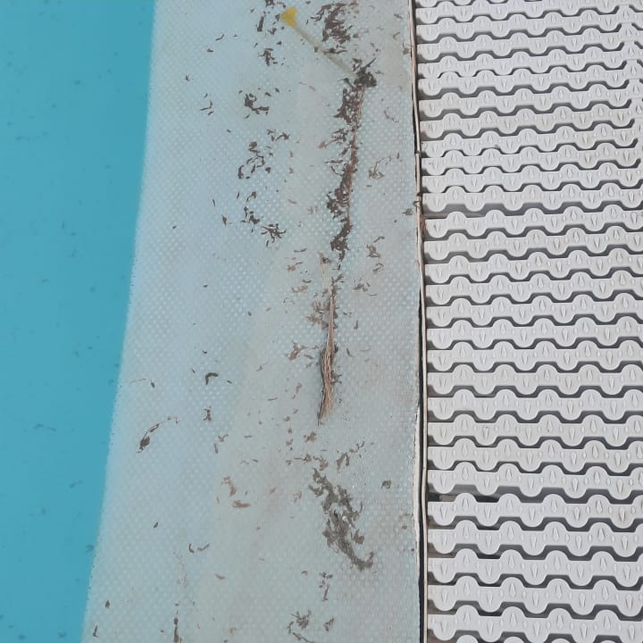 Pool La Plage Hotel & Resort